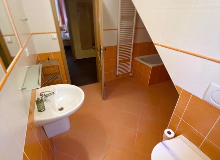 Четырехместный Номер Deluxe, Horský Hotel Sněženka