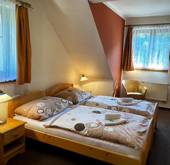 Четырехместный Номер Deluxe, Horský Hotel Sněženka