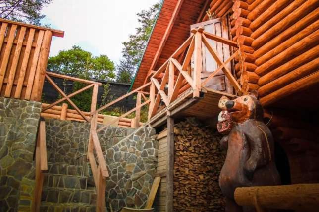 Номер Стандарт, Farmstead Lisova