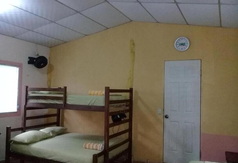 带1个卧室带花园景观的公寓, Hostal Eco Lodge La Chiponga