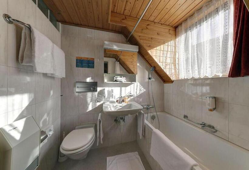 Номер Стандарт Индивидуальный, Schweizerhof Sta Maria