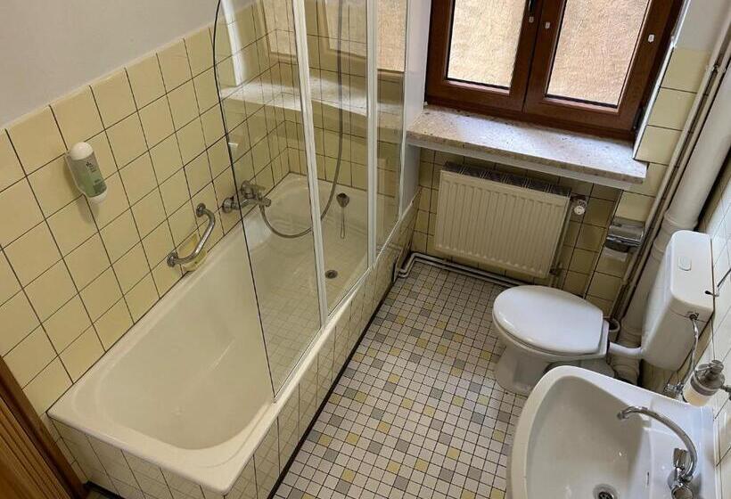 Номер Стандарт Индивидуальный, Gasthaus Metzgerei Pension Maßem