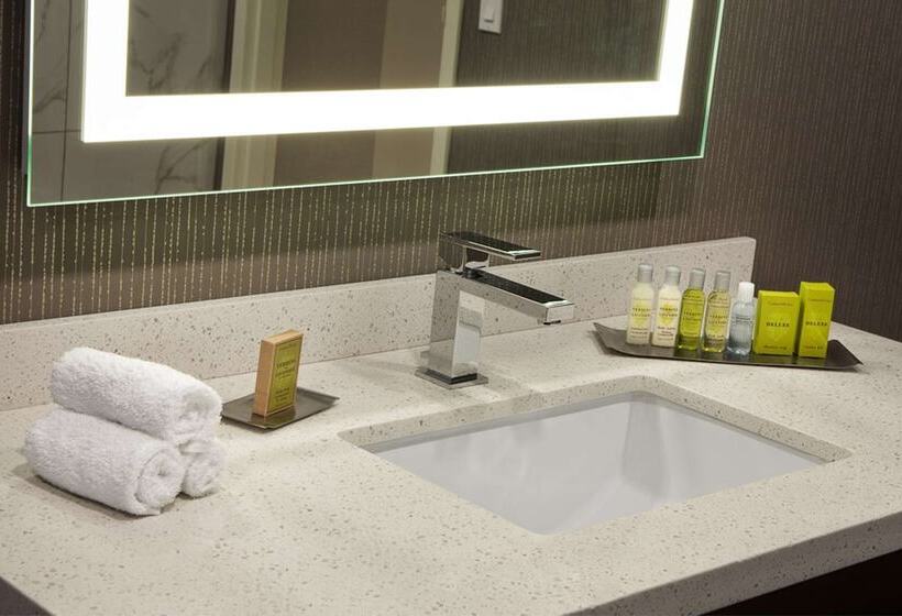 景色の見えるダブルベッドスタンダードルーム, Doubletree By Hilton Halifax Dartmouth