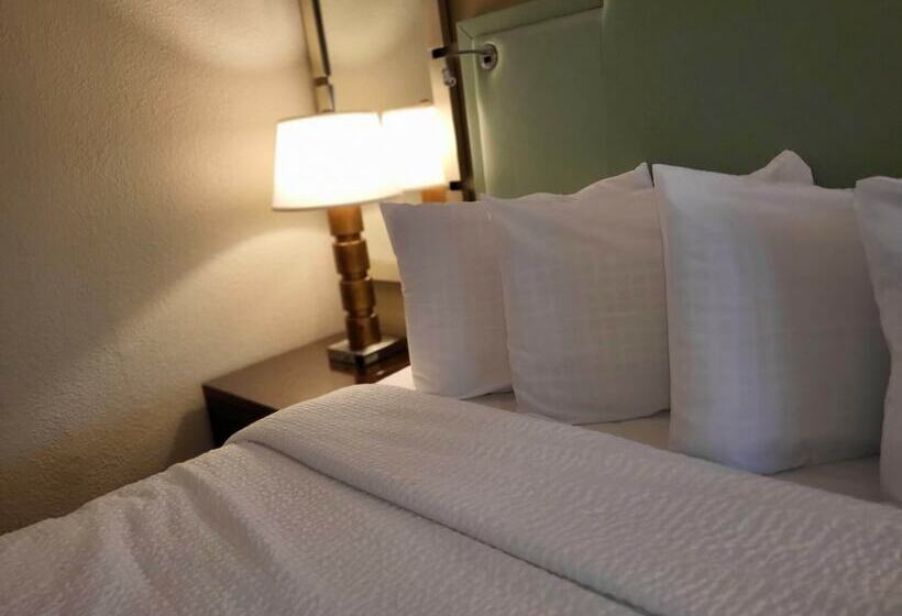 Номер Deluxe, Coco Key Hotel & Water Park Resort