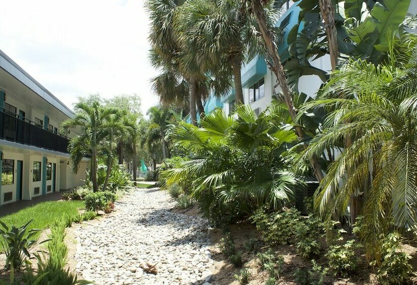 Номер Deluxe, Coco Key Hotel & Water Park Resort