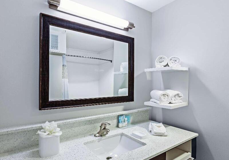 Camera Standard Letto King, Hampton Inn & Suites Houston Heights I 10