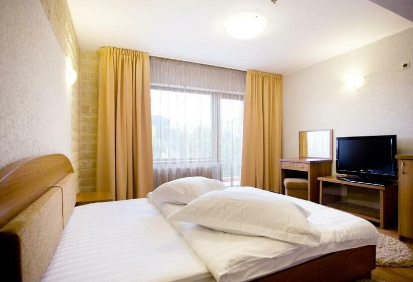 스탠다드 룸, Resort Europark Fundata