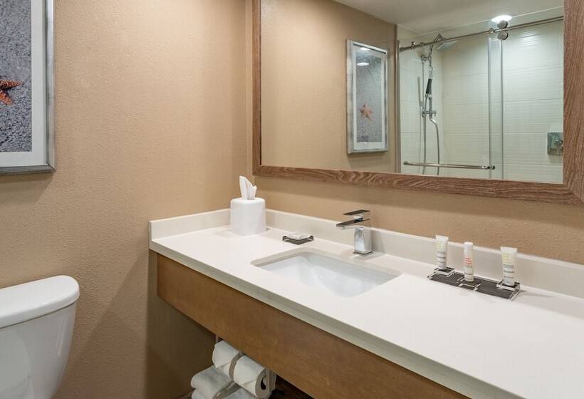 장애인을 위한 스위트, Clearwater Beach Marriott Resort On Sand Key