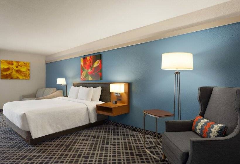 豪华房间, Hilton Garden Inn Dallas/market Center
