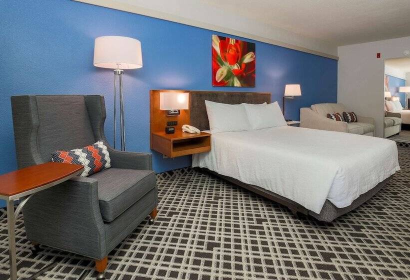 豪华房间, Hilton Garden Inn Dallas/market Center