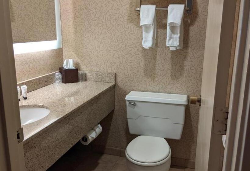 غرفة بريميوم, Olympia  At Capitol Lake