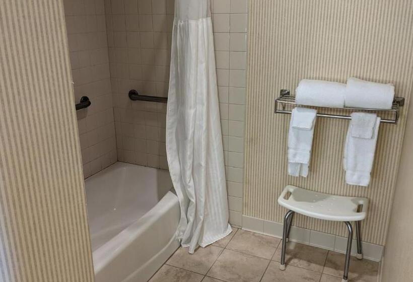 غرفة قياسية سرير كينج لذوى الإحتياجات الخاصة, Olympia  At Capitol Lake