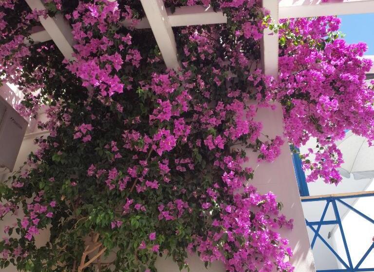 اتاق استاندارد با وان آب گرم, B&b Sognando Vietri