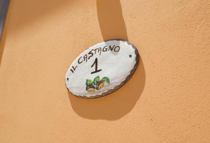 Номер Стандарт, Il Castagneto