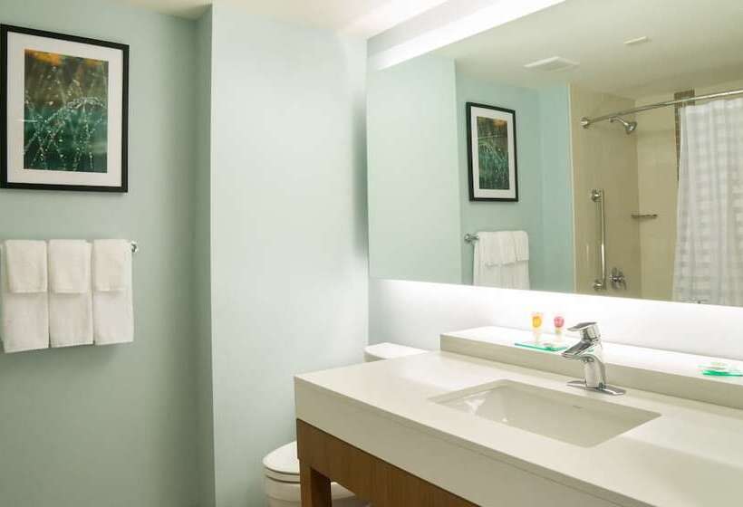스탠다드 룸 더블 침대 2개, Hyatt Place Daytona Beach Oceanfront