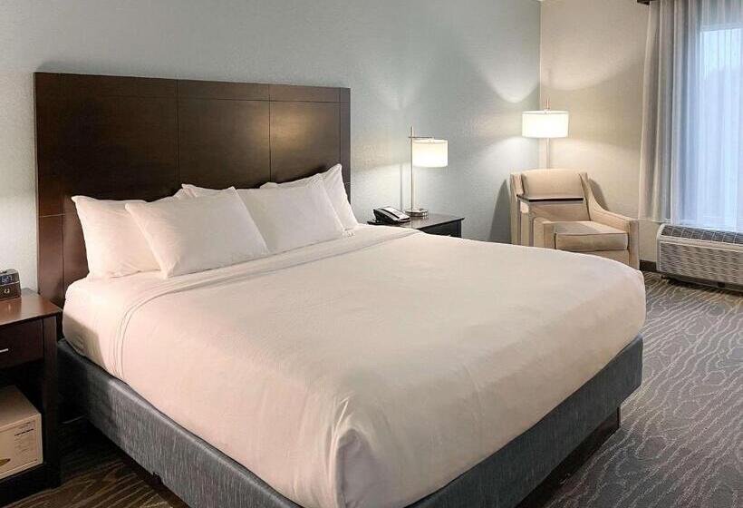 스탠다드 룸 킹사이즈 침대, Comfort Inn & Suites Melbourneviera