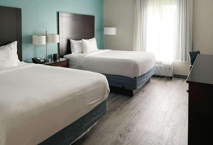 장애인을 위한 스탠다드 룸, Comfort Inn & Suites Melbourneviera