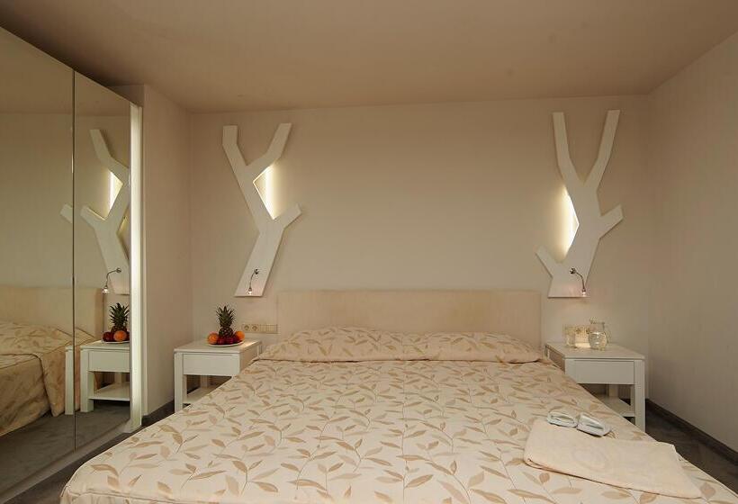 스위트, Festa Chamkoria Apartments
