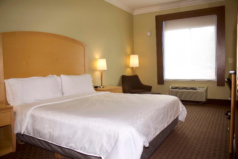 스탠다드 룸 킹사이즈 침대, Holiday Inn Express Hotel & Suites Vacaville, An Ihg