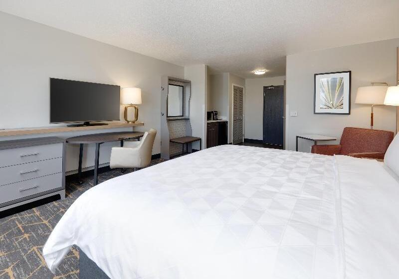 스탠다드 룸 킹사이즈 침대, Holiday Inn Yuma, An Ihg