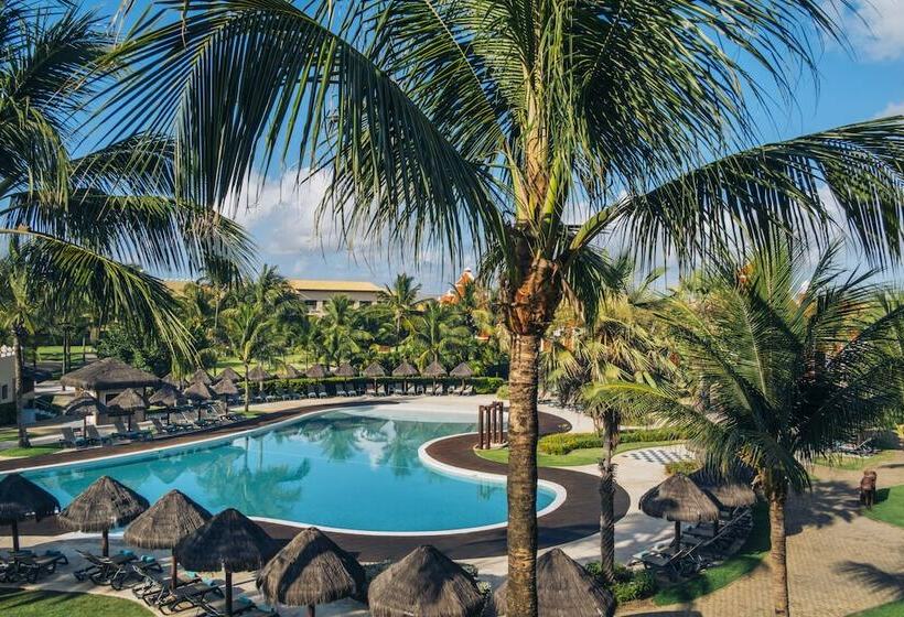 اتاق استاندارد, Iberostar Waves Bahia - All Inclusive