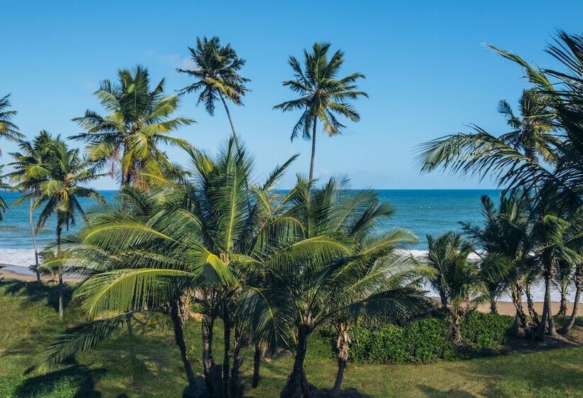 Полулюкс Вид на Море, Iberostar Waves Bahia - All Inclusive