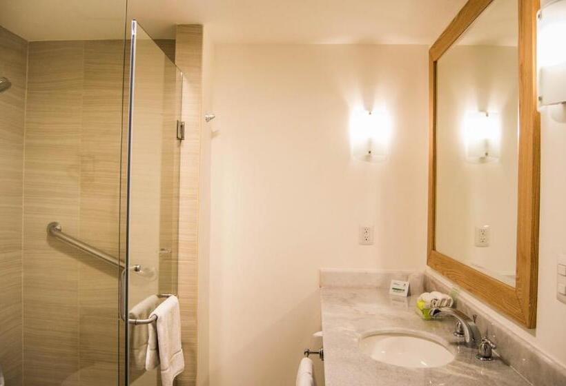 Suite Lit King, Holiday Inn Hotel & Suites Centro Historico, An Ihg