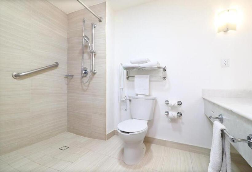 Suite Adaptée aux Personnes à Mobilité Réduite, Holiday Inn Hotel & Suites Centro Historico, An Ihg