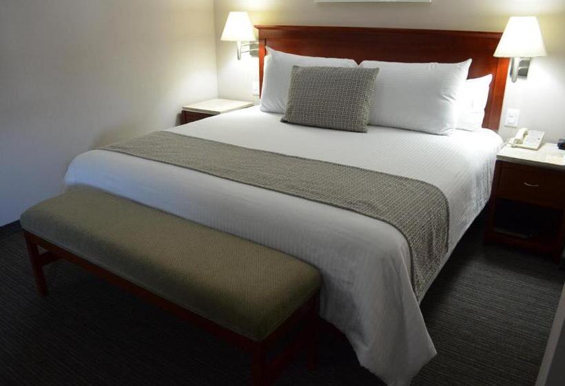 ジュニアスイート, Casa Inn Business Hotel Celaya