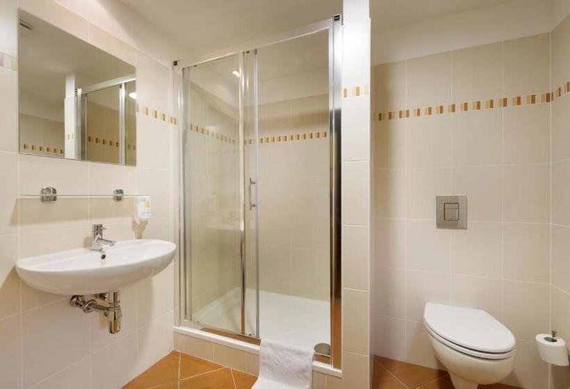اتاق استاندارد یک نفره, Congress & Wellness Hotel Olsanka