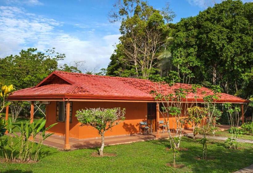 Quarto Estandar, Natural Lodge Cano Negro