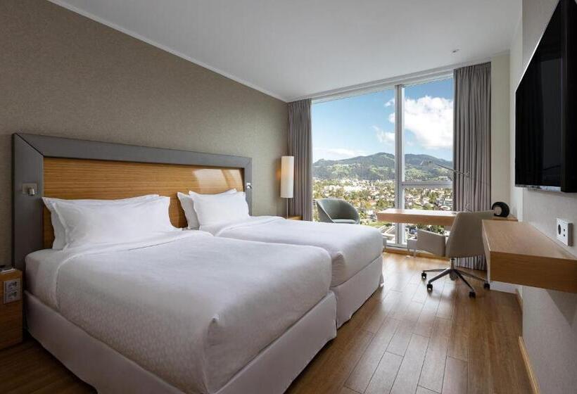 Номер бизнес-класса, Four Points By Sheraton Panoramahaus Dornbirn