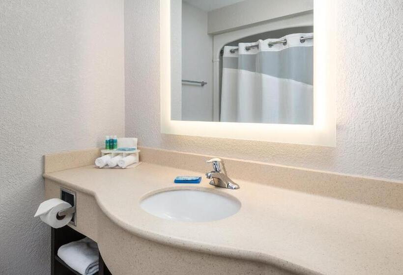 이그제큐티브 룸 킹사이즈 침대, Holiday Inn Express Hotel & Suites 1000 Islands   Gananoque, An Ihg