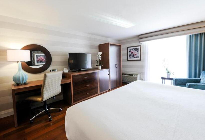 חדר דחוקס עם מיטת קינג, Holiday Inn Niagara Falls By The Falls, An Ihg