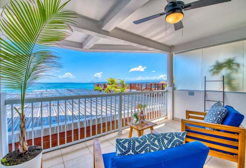 جناح سرير كينج, Tropical Suites