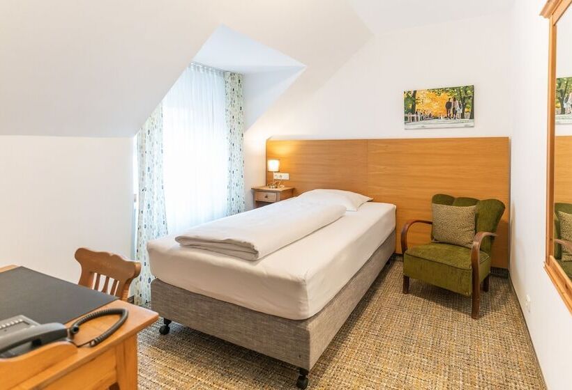 标准单人间, Altstadthotel Grauer Wolf