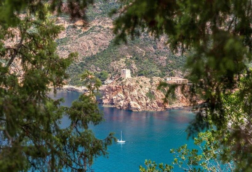 اتاق راحتی, Capo D Orto   Porto   Corse