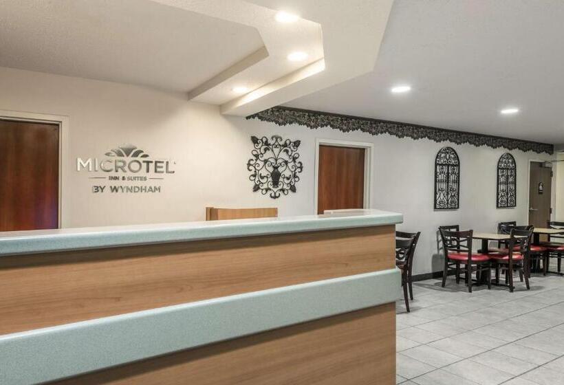 Номер Deluxe Адаптированный для Инвалидов, Microtel Inn & Suites By Wyndham Auburn
