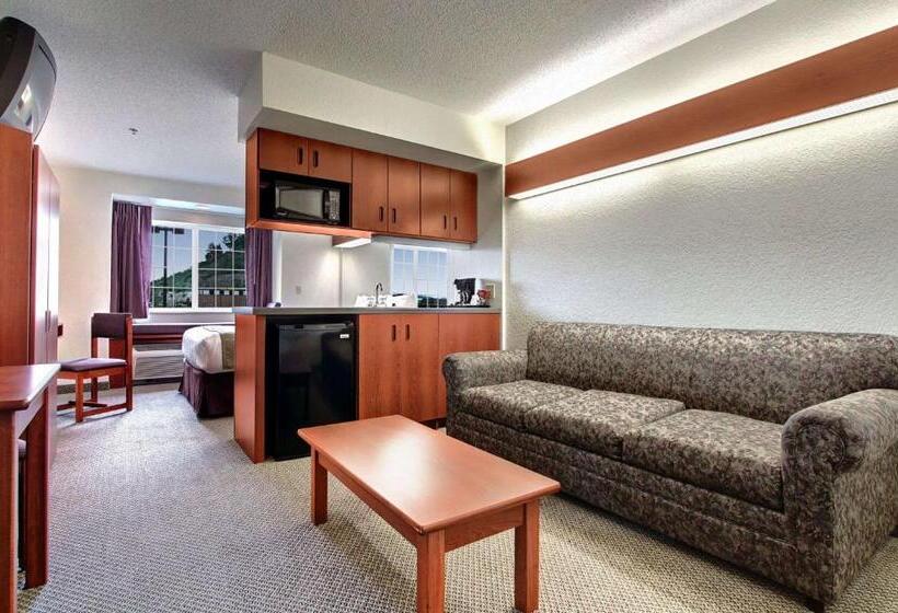 스탠다드 스튜디오, Microtel Inn & Suites By Wyndham Bridgeport