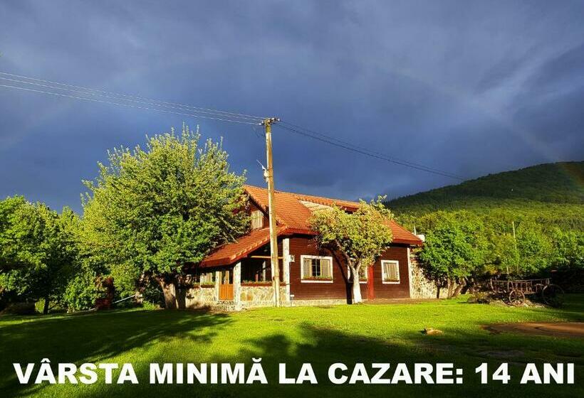 Номер Стандарт Трехместный, Casa Bunicului