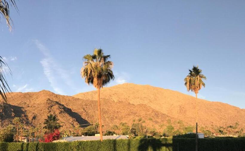 Standard-huone King-vuode, Delos Reyes Palm Springs