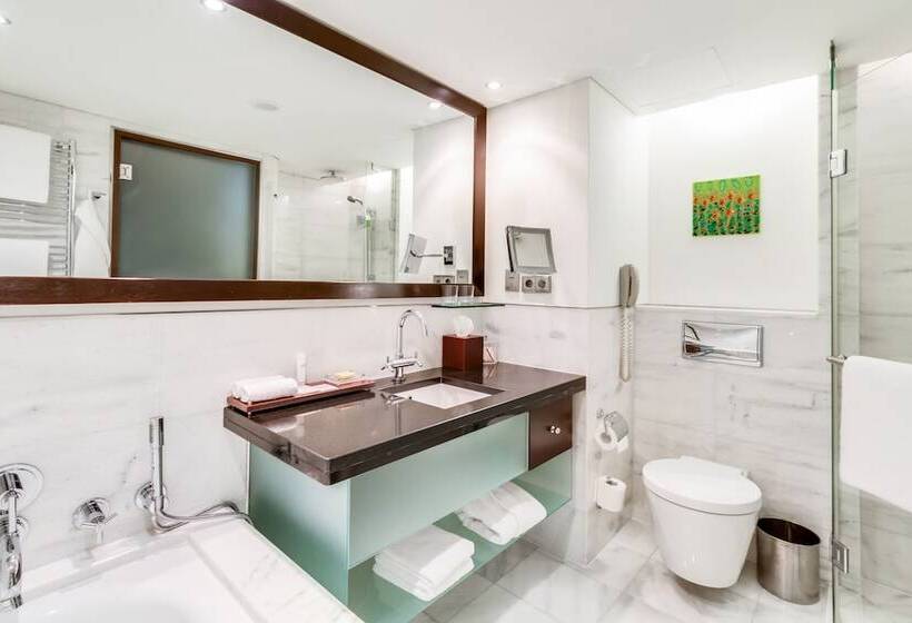 اتاق استاندارد با چشم‌انداز, Hyatt Regency Kyiv