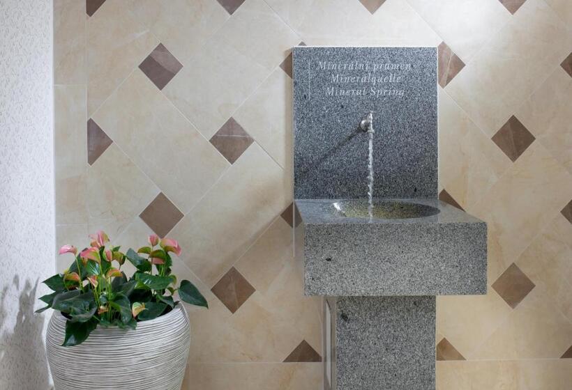 스탠다드 싱글 룸, Badenia Hotel Praha