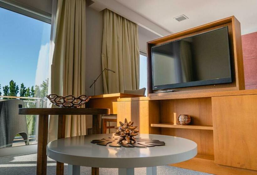 Президентский Люкс, Lincoln Green Hotel And Spa   Argentina