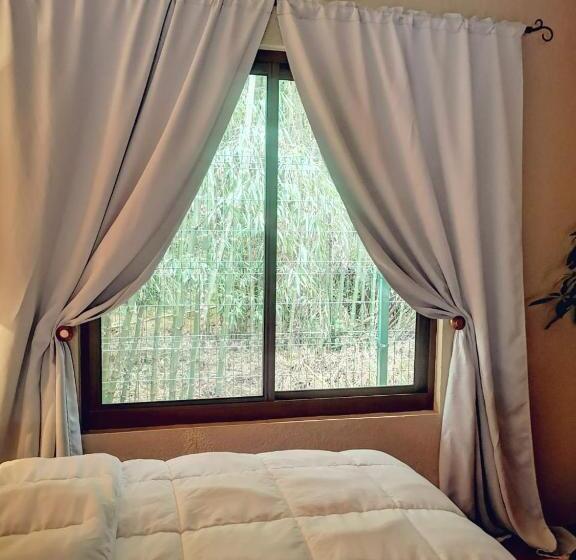 اتاق لوکس با تخت بزرگ, Vive Utila   Bed & Breakfast