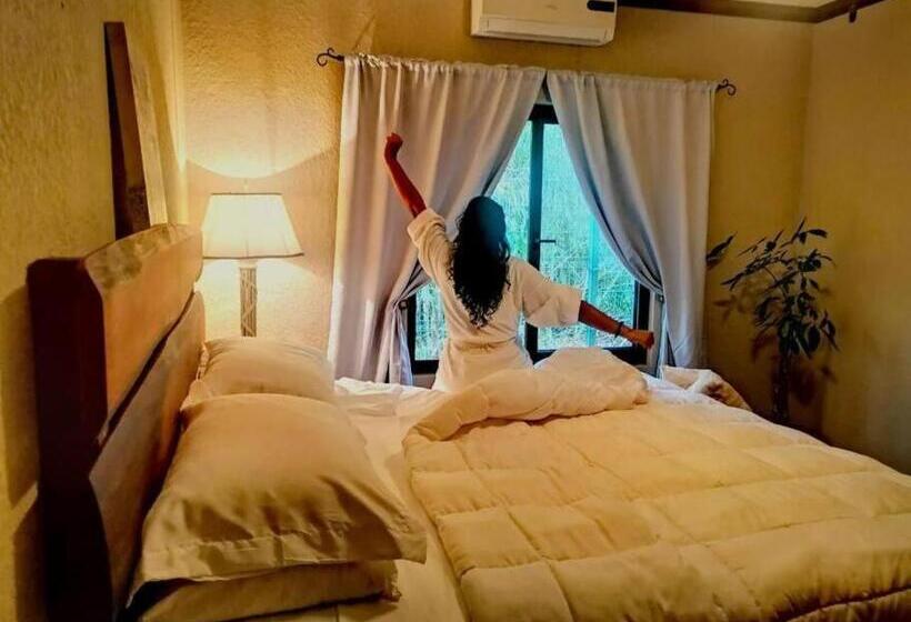 اتاق لوکس با تخت بزرگ, Vive Utila   Bed & Breakfast