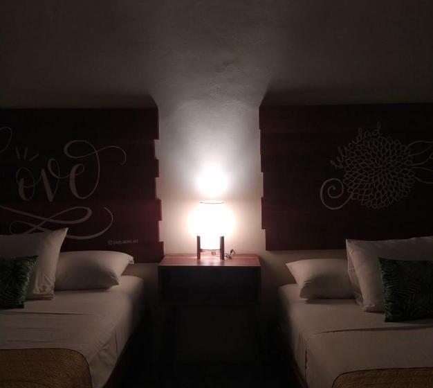 スーペリアの４人部屋, Sur Bacalar
