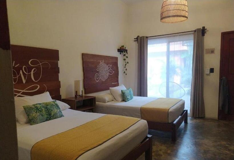 スーペリアの４人部屋, Sur Bacalar