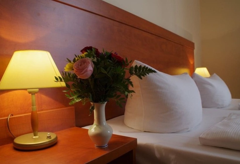 اتاق استاندارد یک نفره, City Hotel Am Kurfürstendamm