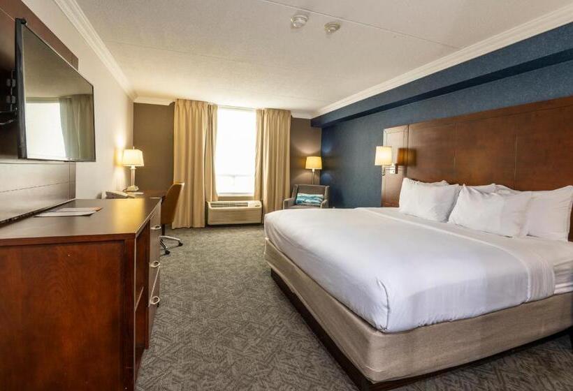 스탠다드 룸 킹사이즈 침대, Comfort Inn & Conference Centre Toronto Airport